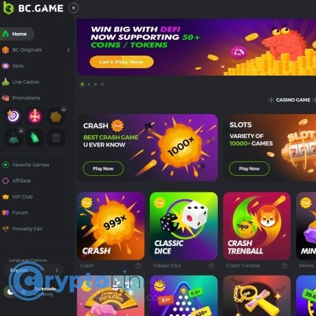 Exploring the BC.Game Betting Platform A Gamer's Paradise